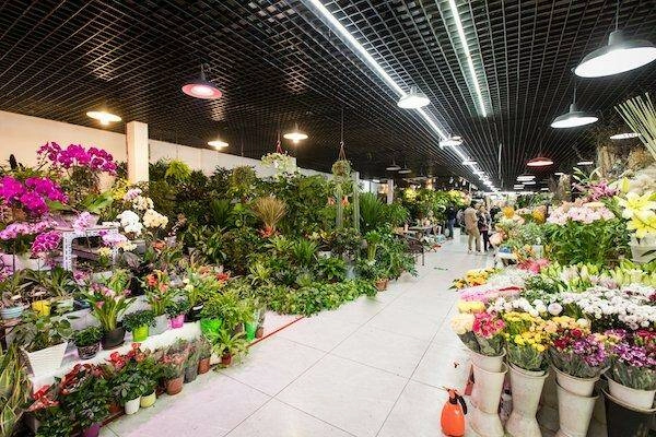 Магазин цветов Liangma Flower Super Market в Пекине: Доставка цветов, Букеты, Живые цветы, Цветочный,