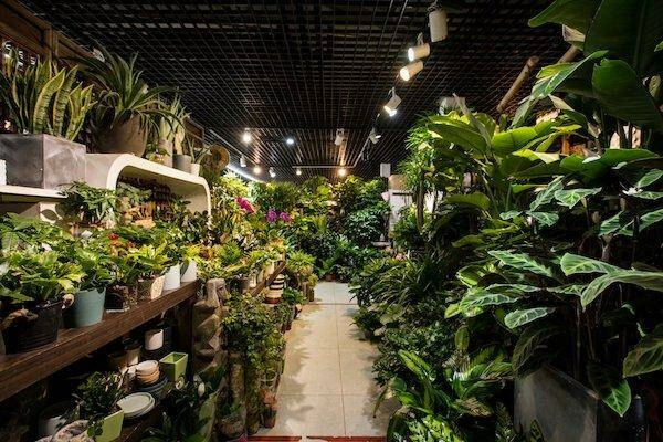Магазин цветов Liangma Flower Super Market в Пекине: Доставка цветов, Букеты, Живые цветы, Цветочный,
