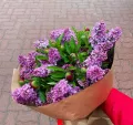 Миниатюра 4