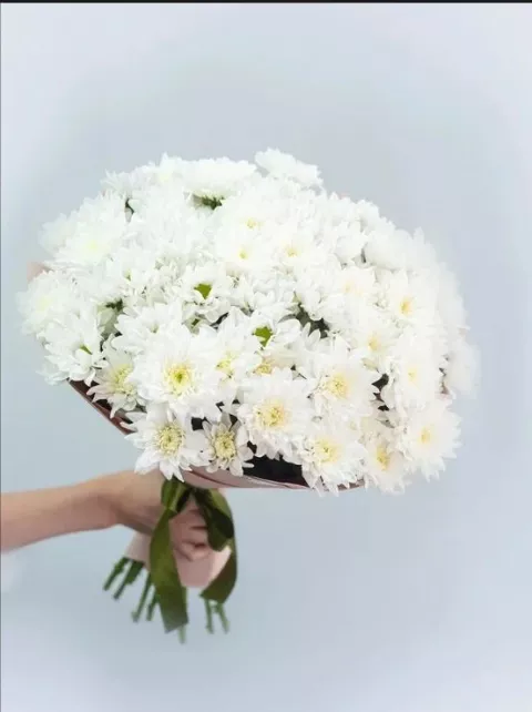 Фото 3