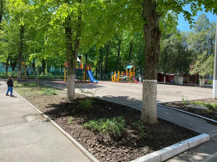 Частный детский сад Жигули в Ростове-на-Дону: Ясли, Дети 1+, Садик, Воспитание детей,
