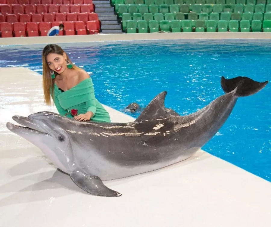 Дельфинарий Dubai Dolphinarium в Дубаи: Шоу дельфинов , Шоу экзотических птиц , Кинотеатр , Плавание с дельфинами , Танец тюленей ,