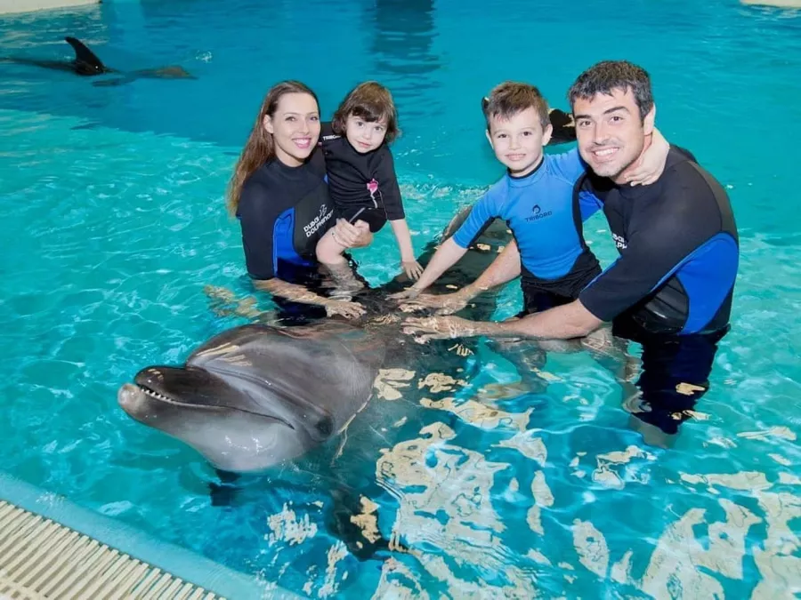 Дельфинарий Dubai Dolphinarium в Дубаи: Шоу дельфинов , Шоу экзотических птиц , Кинотеатр , Плавание с дельфинами , Танец тюленей ,