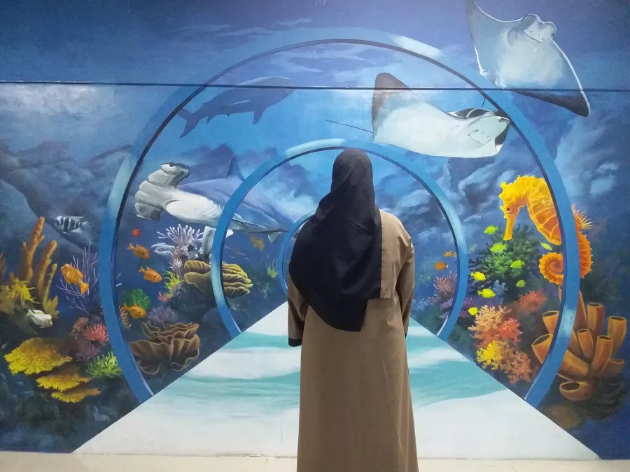 Музей 3D World Dubai, Trick-Art Selfie Museum в Дубаи: Оптические иллюзии , Интерактивная галлерея , Трехмерное искусство , Художественный музей ,