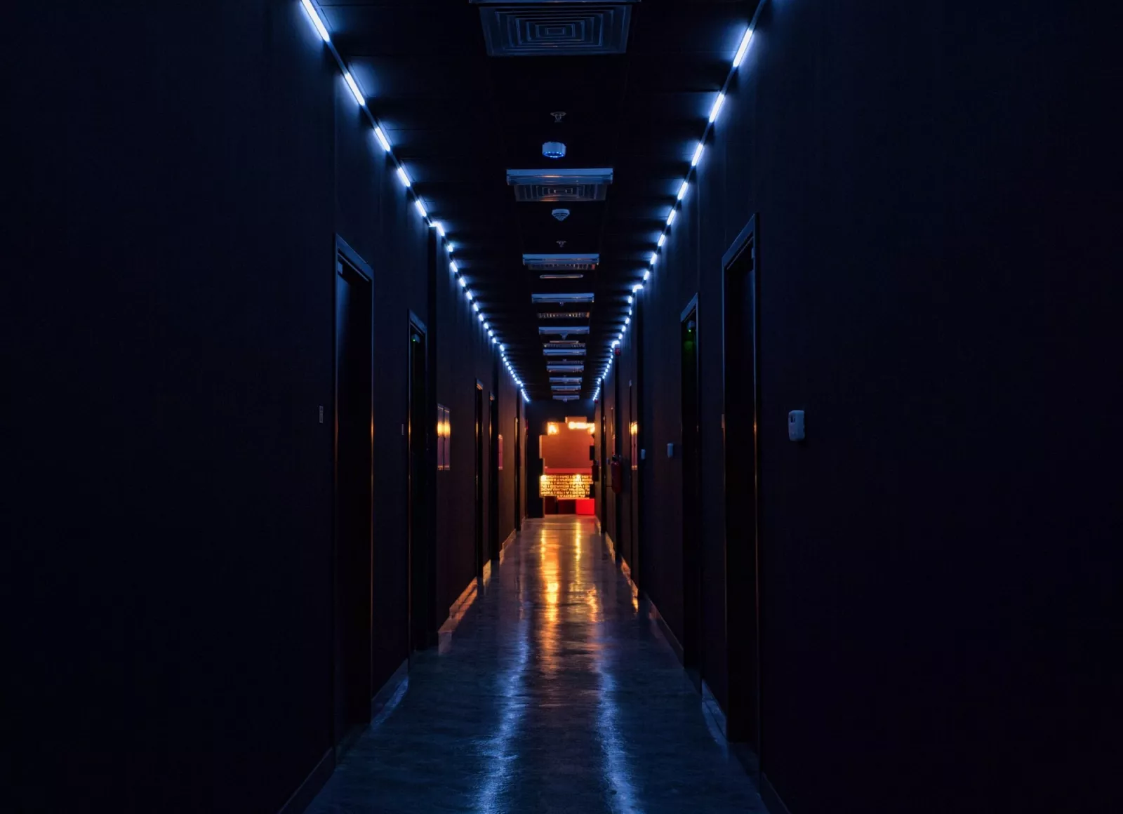 Большое фото 1