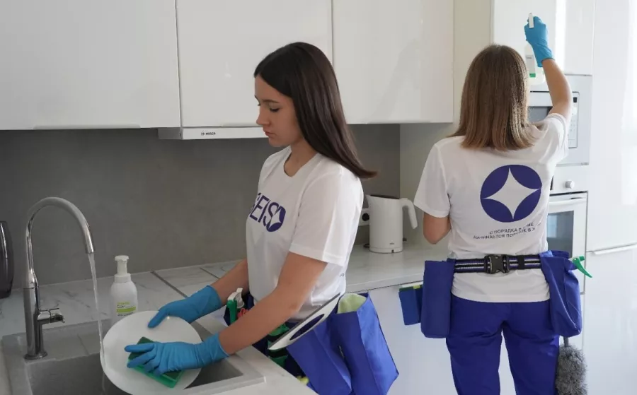 Профессиональная уборка Seiso в Краснодаре: Клининг, Профессиональная уборка, Вынос мусора, Мойка окон, Качественный сервис, Генеральная уборка,