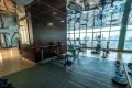 Миниатюра 9
