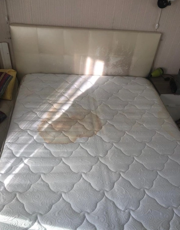 Клининговая компания Чистка-ковров44 в Краснодаре: Чистка, Клининг, Выезд на дом, Разное,