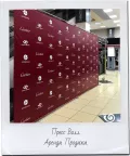 Миниатюра 8