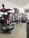 Миниатюра 6