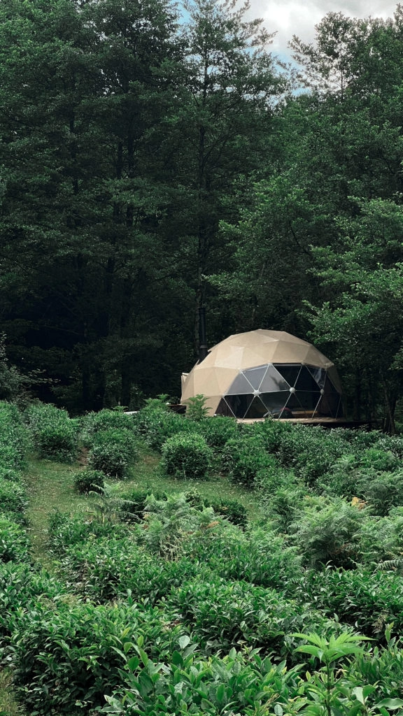 Глэмпинг "Чай"