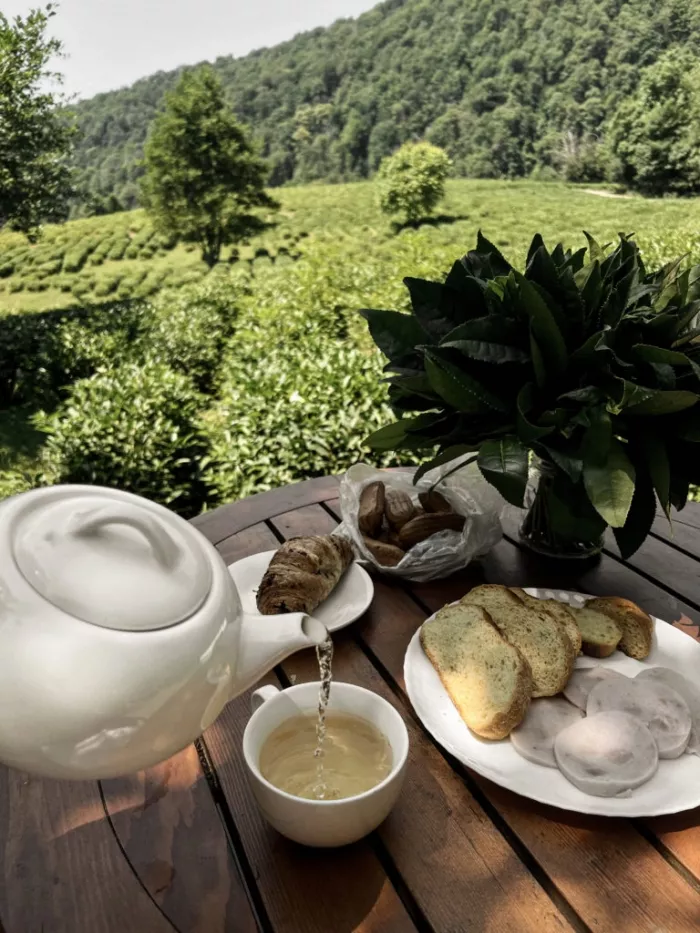 Глэмпинг "Чай"