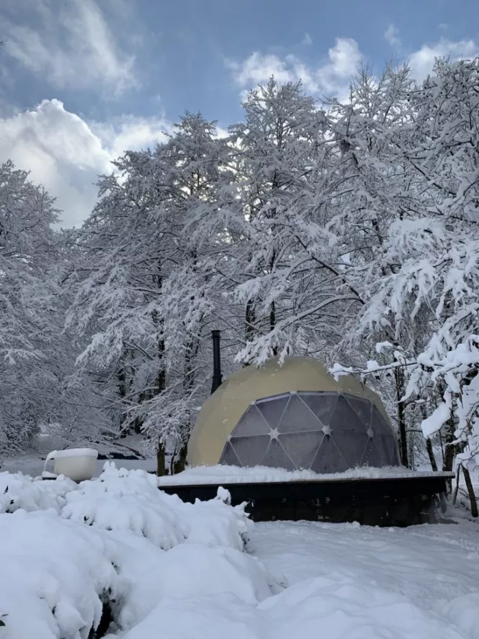 Глэмпинг "Чай"