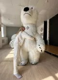 Миниатюра 5