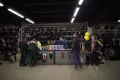 Миниатюра 10