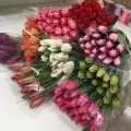 Миниатюра 3