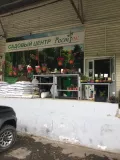Миниатюра 4