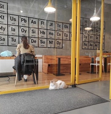 Кофейня Walter's Coffee Roastery в Стамбуле: Еда, Кино, Кофе, Атмосфера,