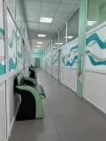 Миниатюра 5