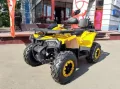Миниатюра 3