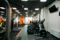 Миниатюра 6