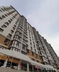 Миниатюра 6