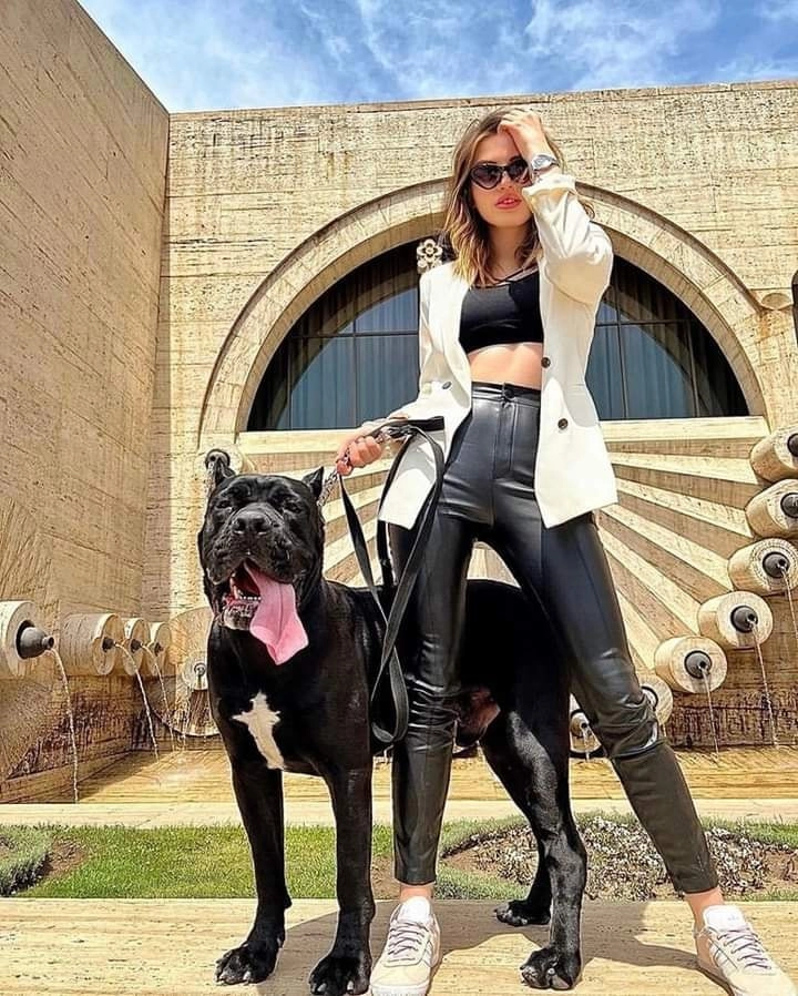 Модельное агентство Armenia Yash Models в Ереване: Моделинг, Фотосъёмка, Видеосъёмка, Дефиле, Школа Моделей,