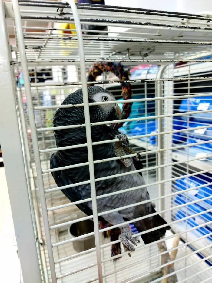 Зоомагазин в Майкопе "ЗООМИР".