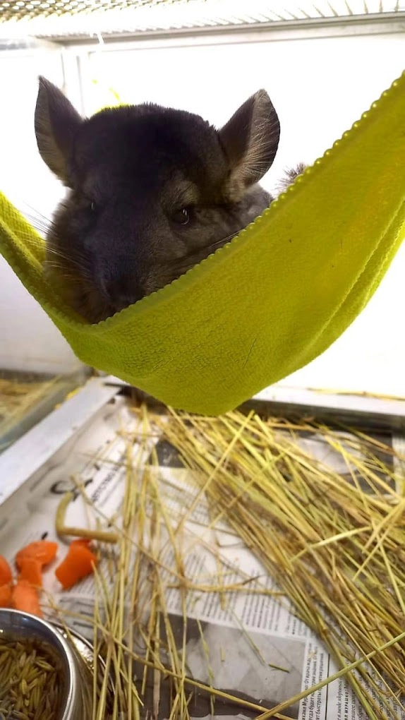 Зоомагазин в Майкопе "ЗООМИР".