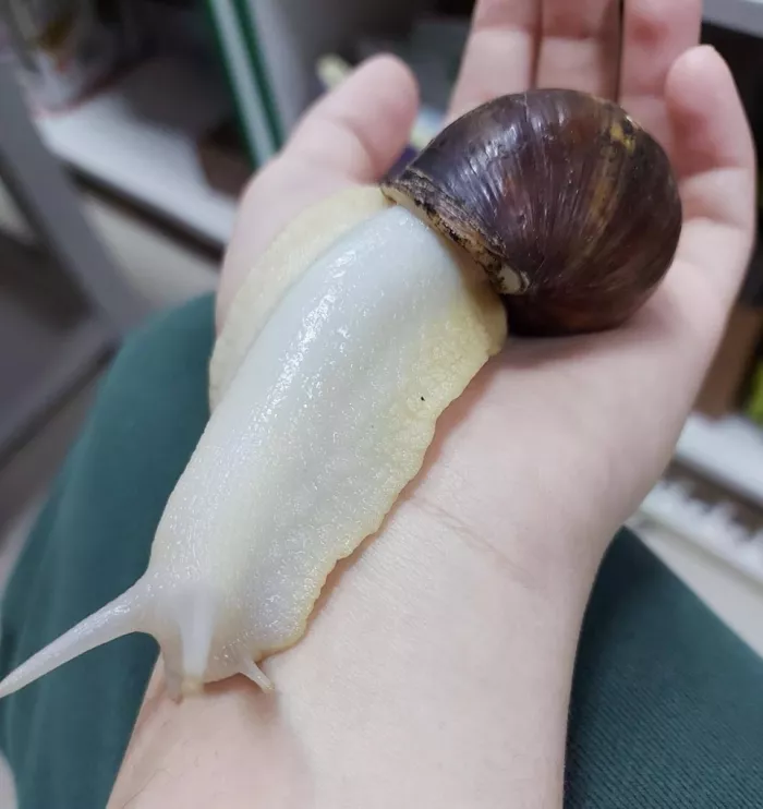 Зоомагазин в Майкопе "ЗООМИР".