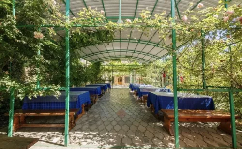 Отель Южная ночь  в  Анапе