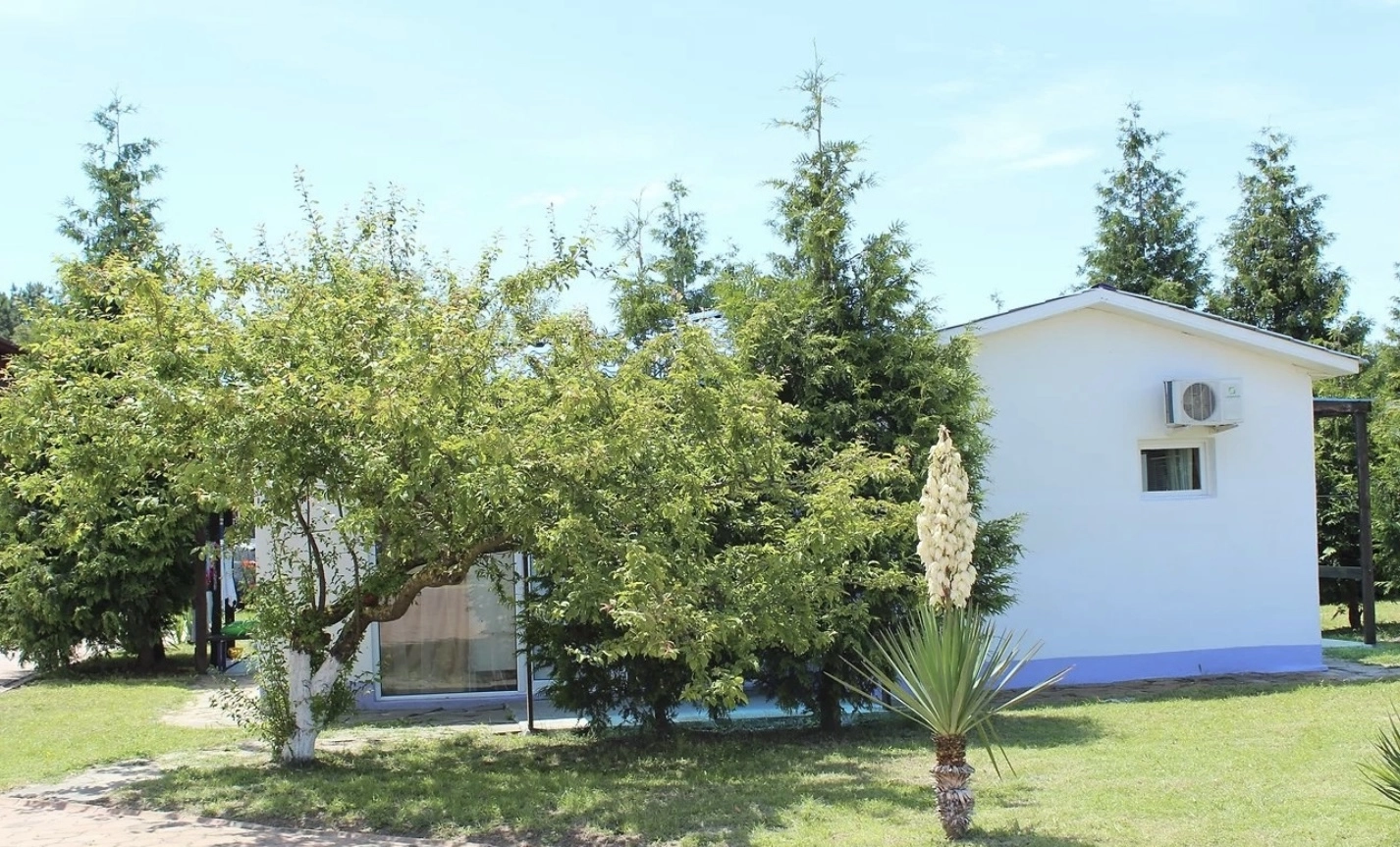 Большое фото 4