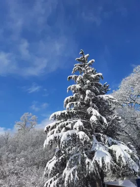 База отдыха "Серебряное озеро".