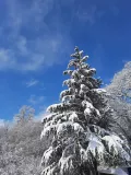 Миниатюра 20