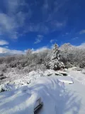 Миниатюра 21