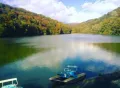 Миниатюра 36