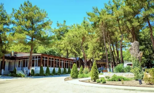 Автокемпинг Арион в Геленджике