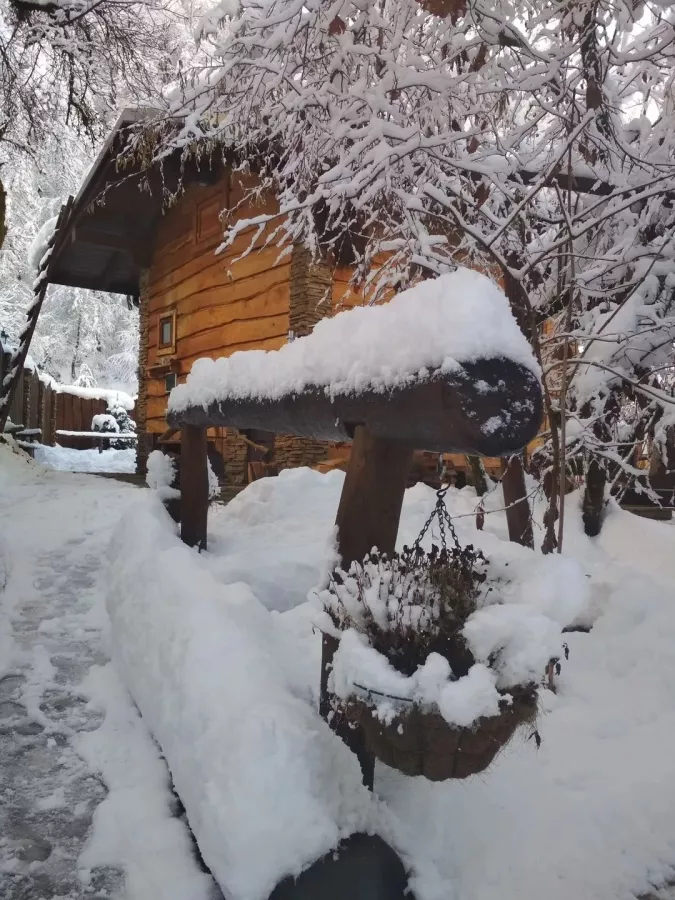 Баня Маджи в Красной Поляне: Баня, Бассейн, Релакс, Сауна,