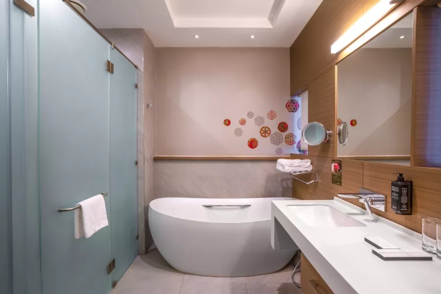 Отель Ibis Styles в Красной Поляне: Семейный отдых, Бассейн , Эко-френдли, В горах, Отель, Ресторан,
