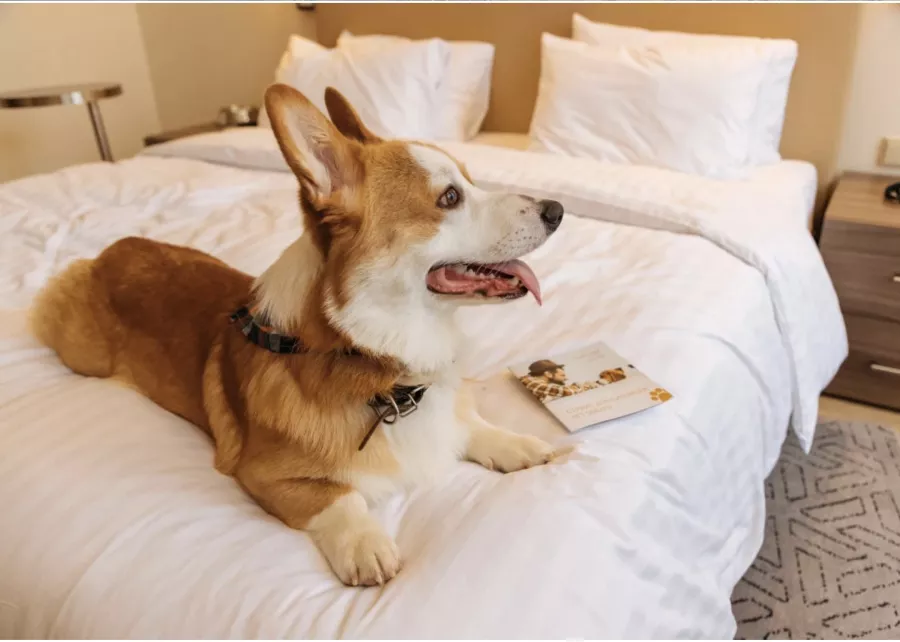 Отель Courtyard by Marriott  в  Красной Поляне