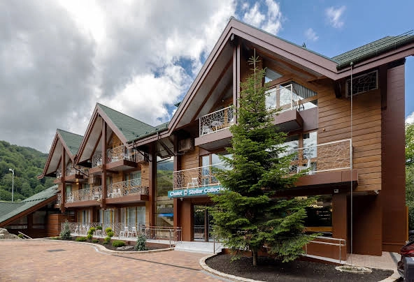 Отель Stellar Collection Chalet в Красной Поляне: Трансфер, Семейный отдых , Отель, Бассейн,