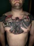 Миниатюра 8
