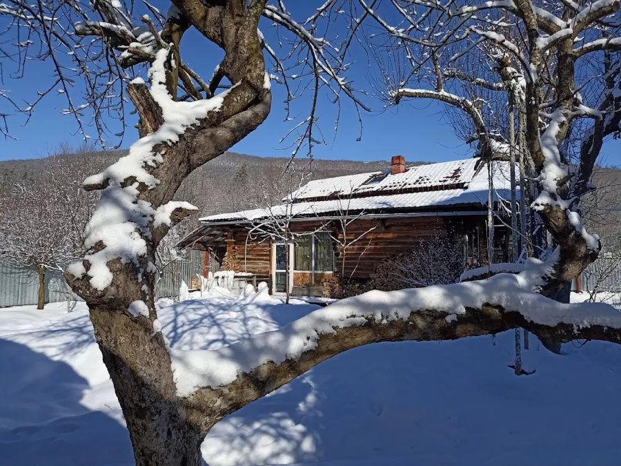 Баня по черному, парения, массаж в Мезмае в Мезмай: Баня, Гимнастика, Массаж, Йога,