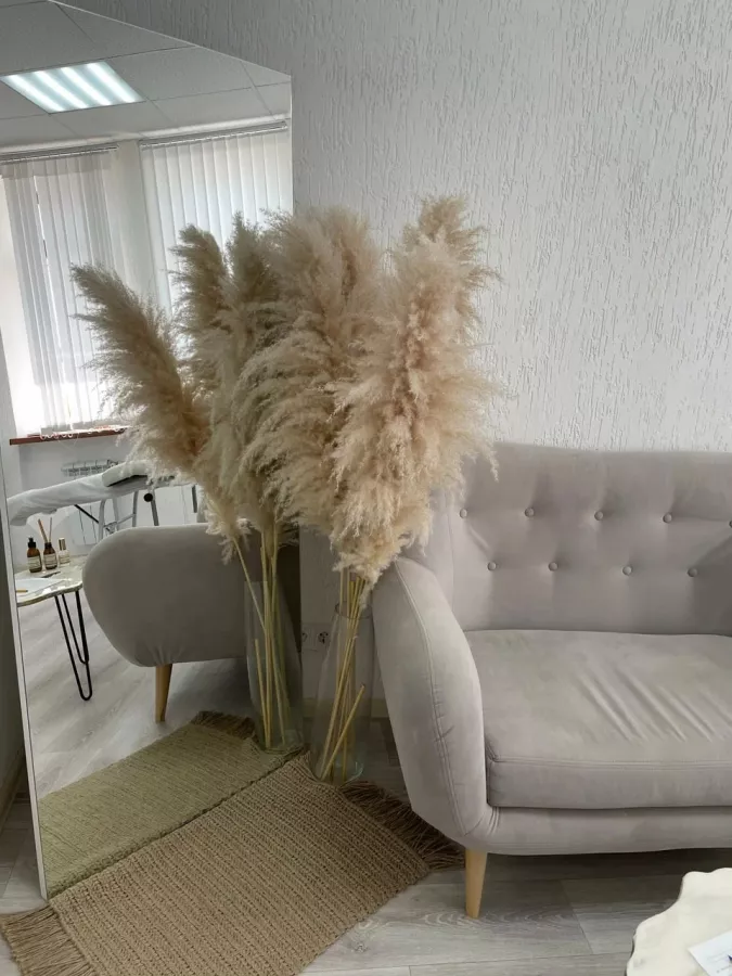 Лазерная эпиляция Bliss & Epil в Новороссийске: Эпиляция, Депиляция, Красота,