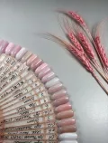 Миниатюра 9