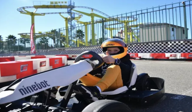 Картинг "Gokart 960"