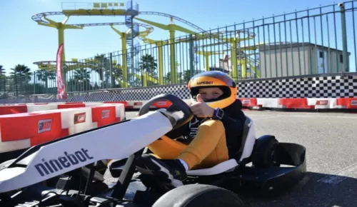 Картинг Gokart 960  в  Красной Поляне