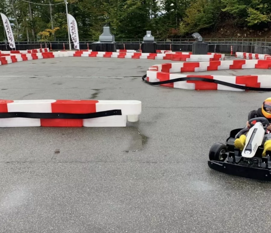 Картинг Gokart 960 в Красной Поляне: Гонки, Семейный отдых , Картинг, Машина,