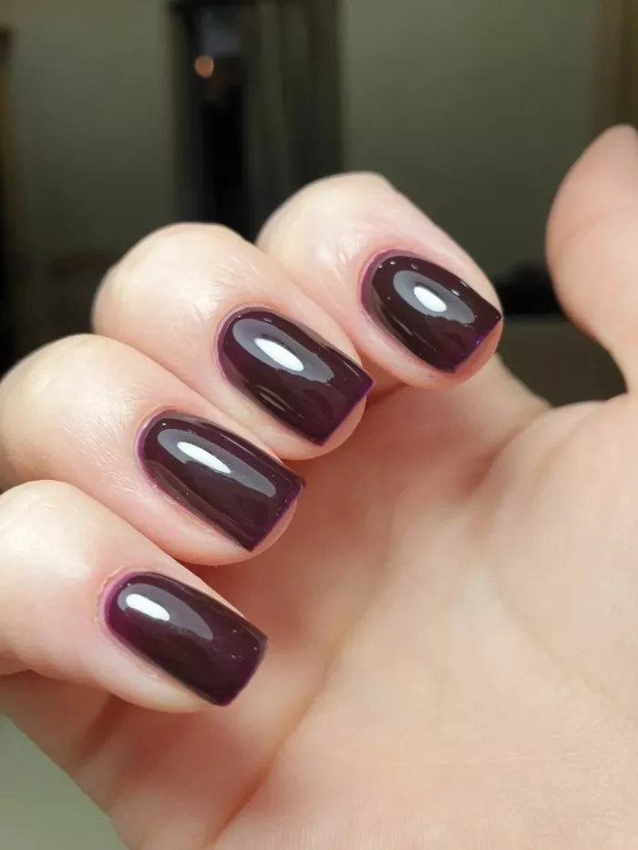 "Студия Светланы Бурдаковой".