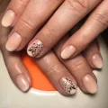 Миниатюра 6
